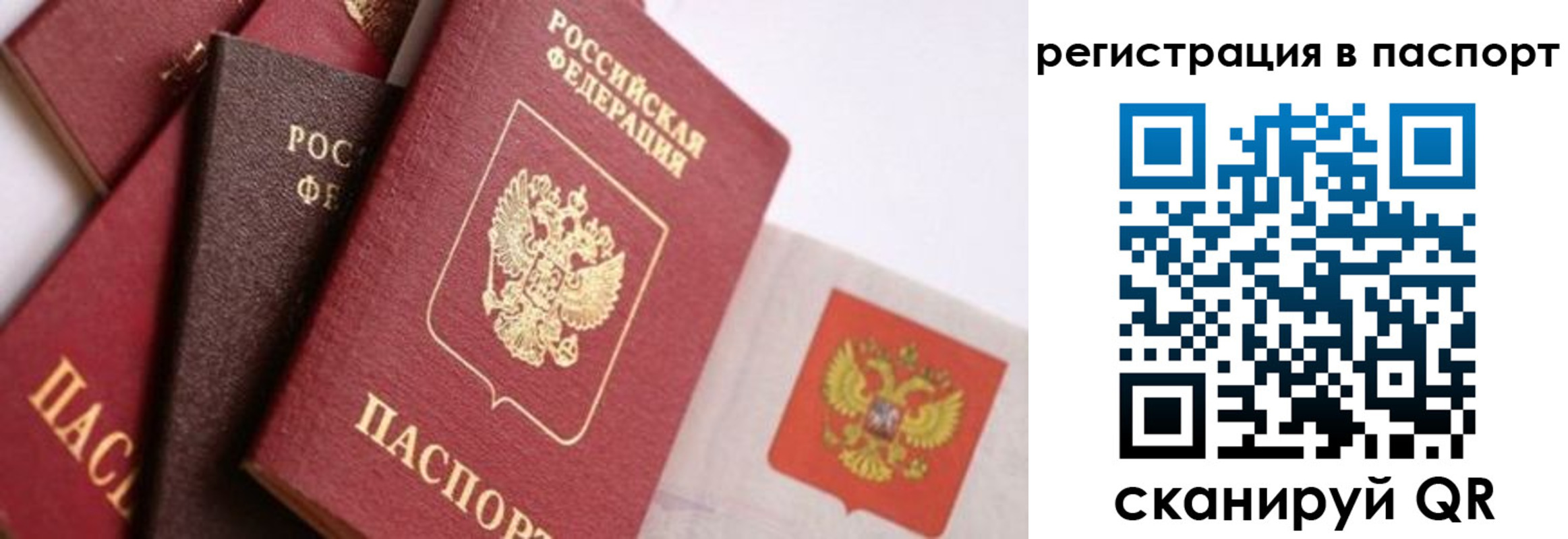прописка в квартире в Алексине